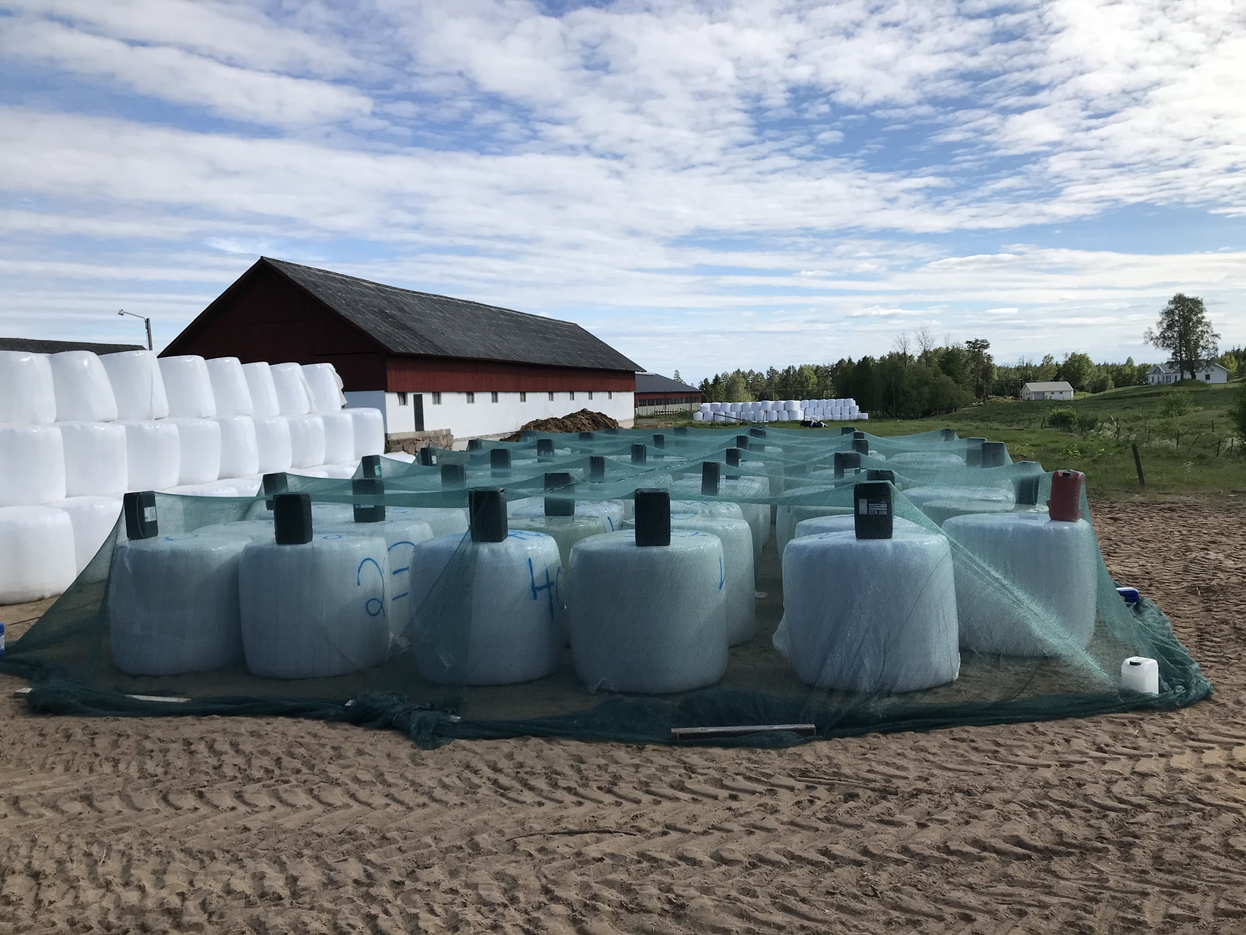 Independent research testifies excellent performance of our sustainable bale wrap films